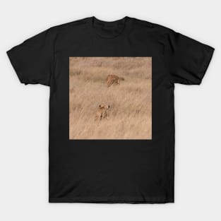 Serengeti Lion #7 - closing in on the kill T-Shirt